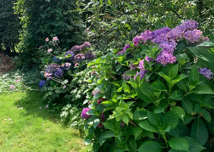 Дом отдыха Light Blue 60's Summer House By Jorgenso Оттеруп